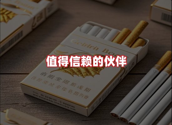 专业团队